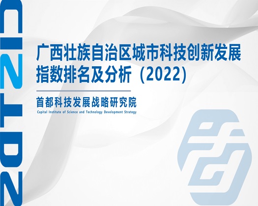 插入逼逼啊啊啊【成果发布】广西壮族自治区城市科技创新发展指数排名及分析（2022）